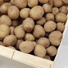 Poot aardappelen